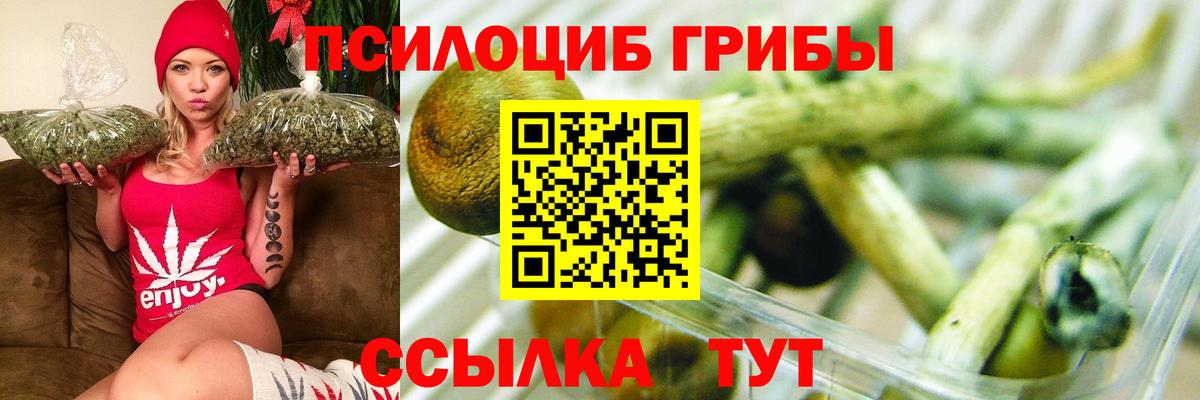 Псилоцибиновые грибы мицелий Керчь
